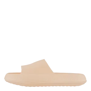 Chunky Slipper Coral