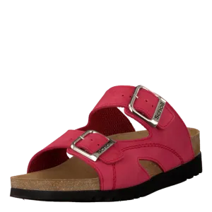 Moldava Wedge Red