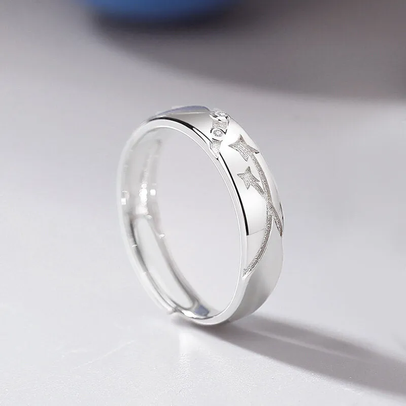 Shooting Star Matching Rings