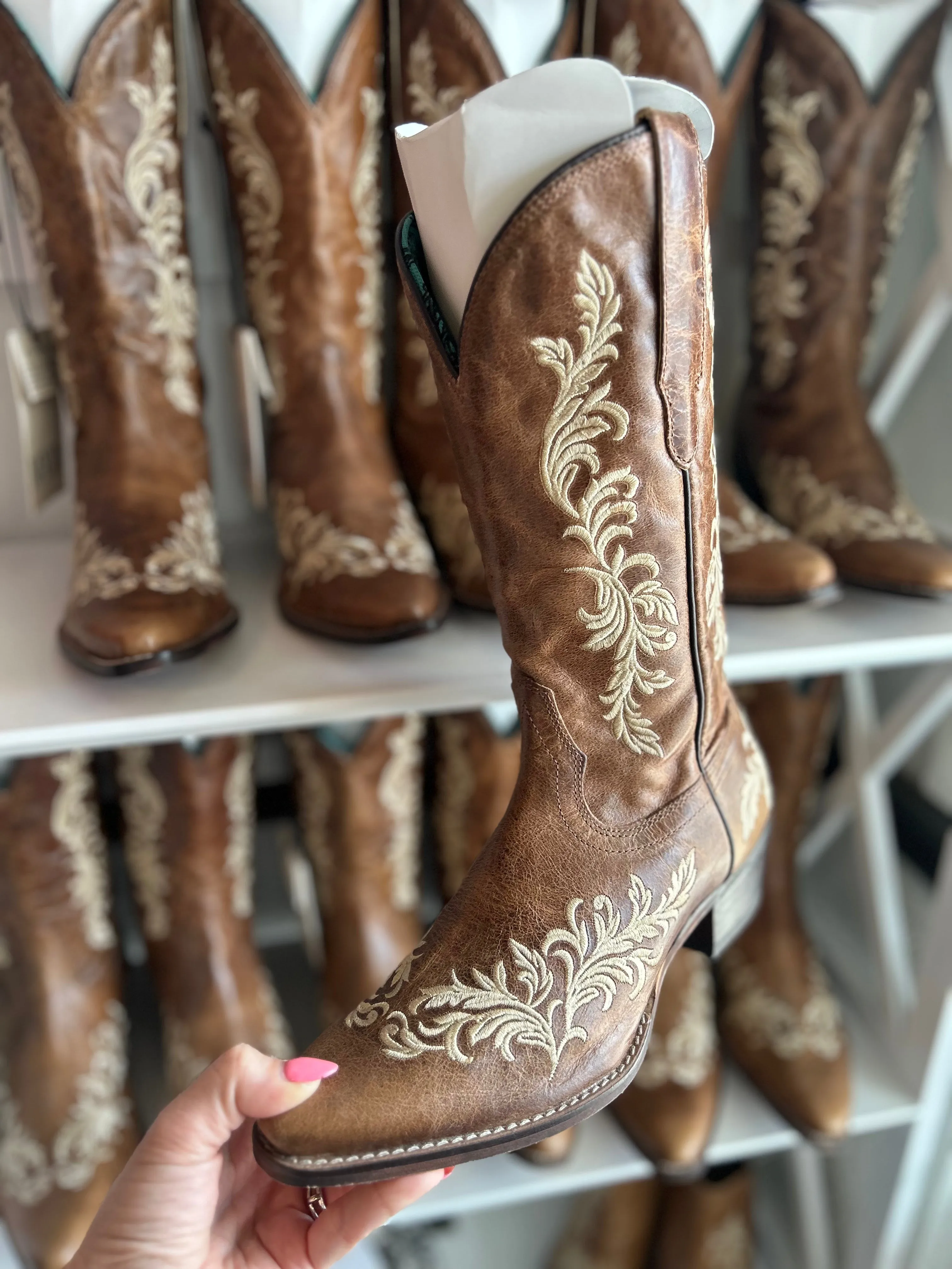 The Mesa Sunrise Boot